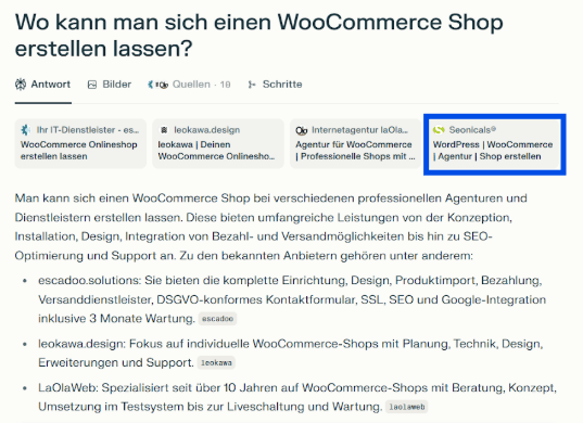 Screenshot WooCommerce aus Perplexity